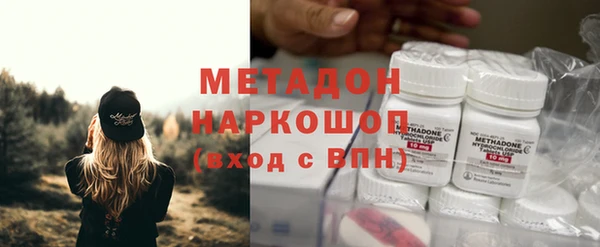 ГАЛЛЮЦИНОГЕННЫЕ ГРИБЫ Горно-Алтайск