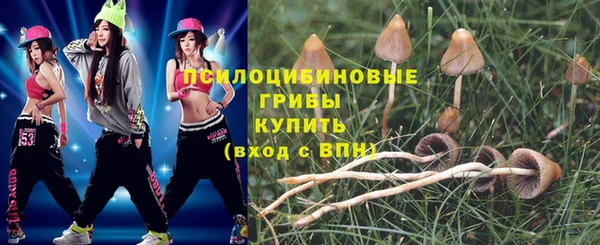 ГАЛЛЮЦИНОГЕННЫЕ ГРИБЫ Горно-Алтайск