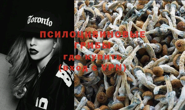мет Горняк