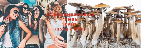 винт Горнозаводск