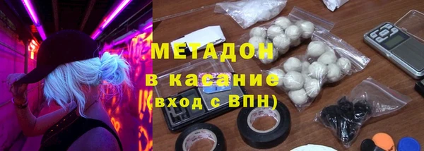 ГАЛЛЮЦИНОГЕННЫЕ ГРИБЫ Горно-Алтайск