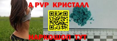 стаф Тавда