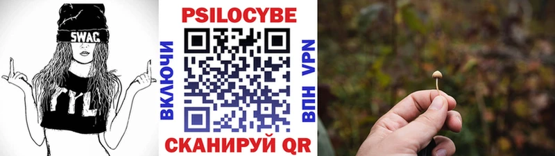 площадка формула  купить наркотики сайты  блэк спрут как зайти  Горно-Алтайск  Псилоцибиновые грибы мицелий 