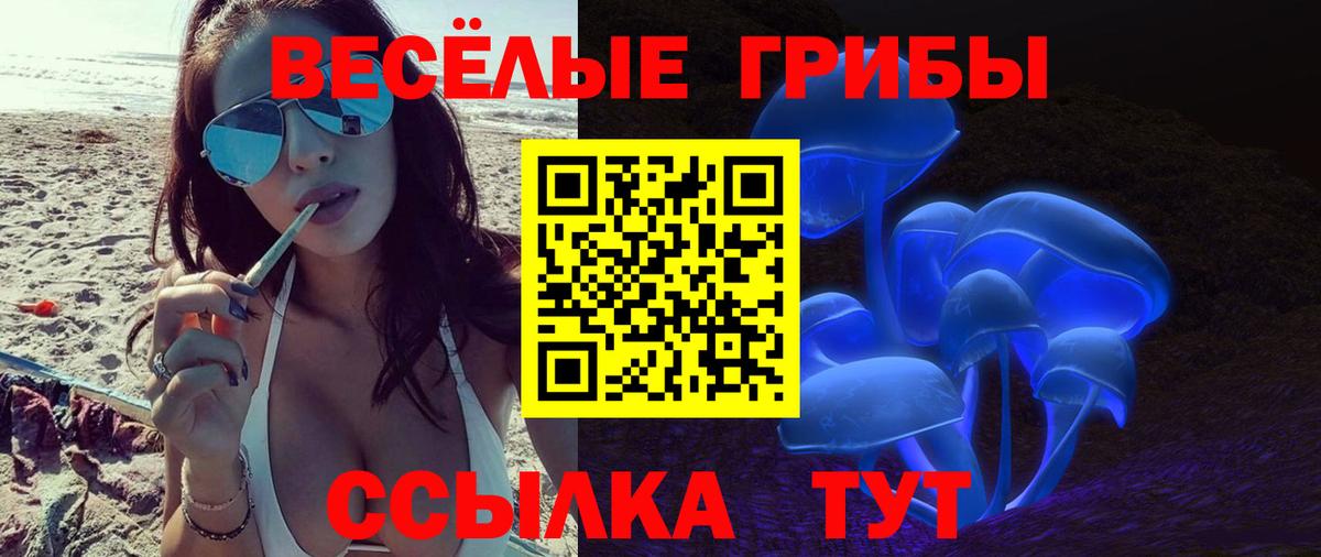 Галлюциногенные грибы прущие грибы  Галлюциногенные грибы Psilocybe  Вход с VPN  Горно-Алтайск 