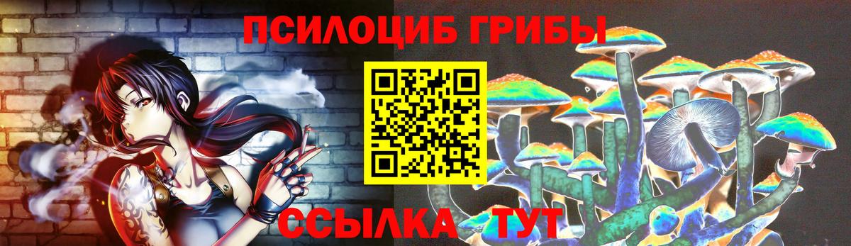 Псилоцибиновые грибы ЛСД Горно-Алтайск